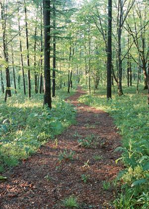 【最新情報】信頼の新宿エリアで叶える自然な植毛施術と最適なクリニック選び